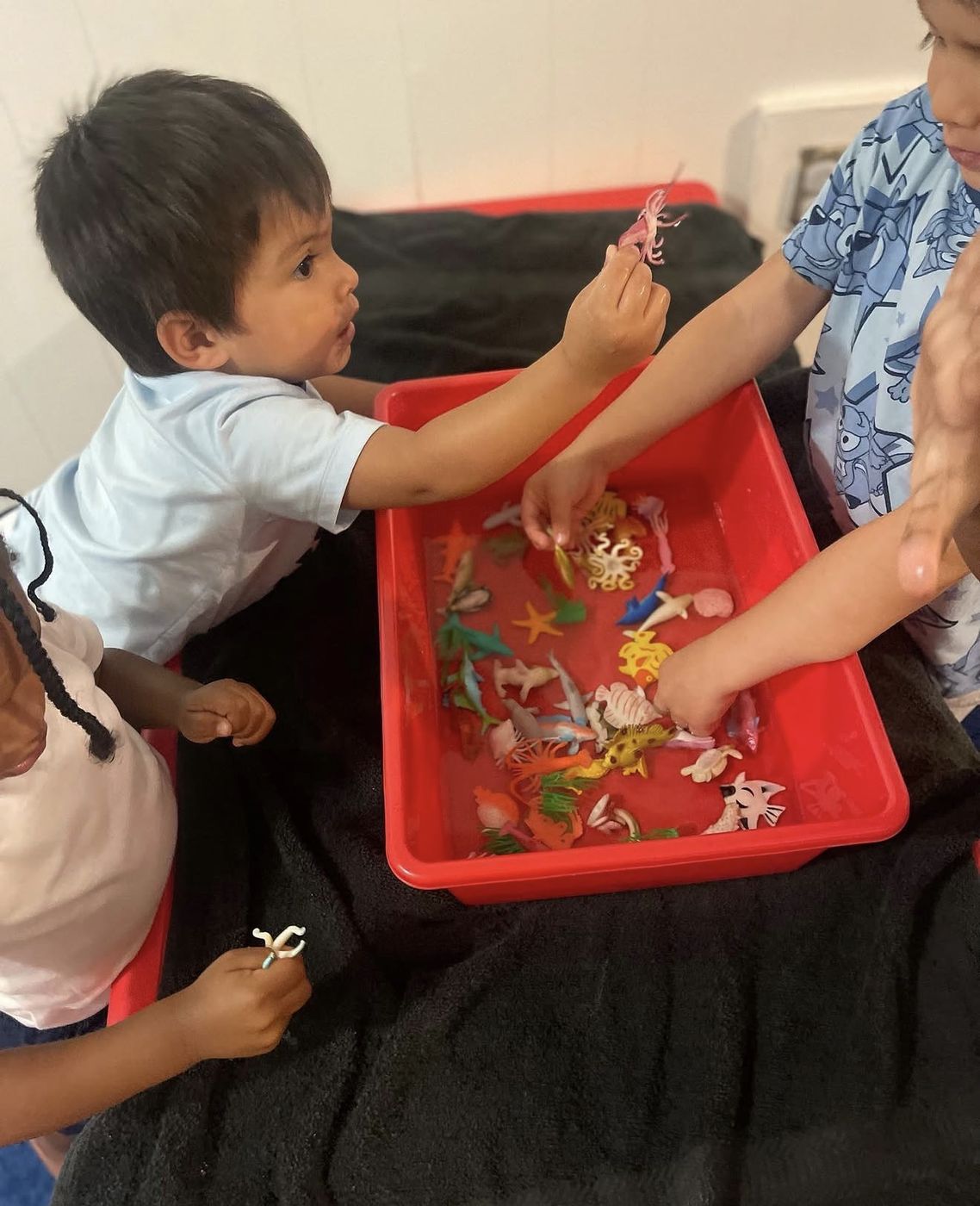 Busy Bees Room